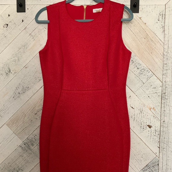 green emerald velvet dress Antonio Berardi Red Back Zipper Dress- Size 42 – The Saved Collection main image 1